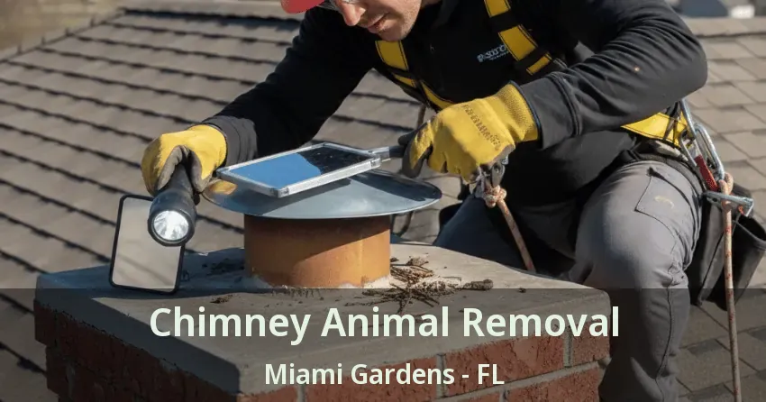 Chimney Animal Removal Miami Gardens - FL