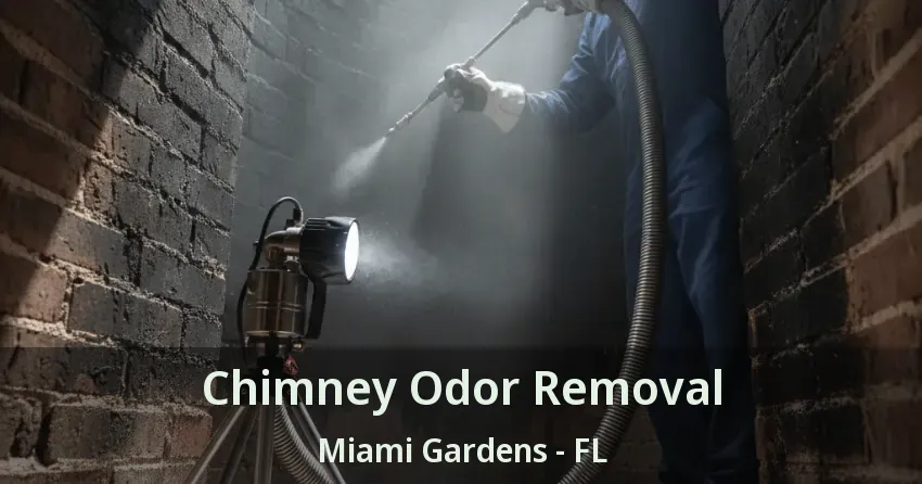 Chimney Odor Removal Miami Gardens - FL