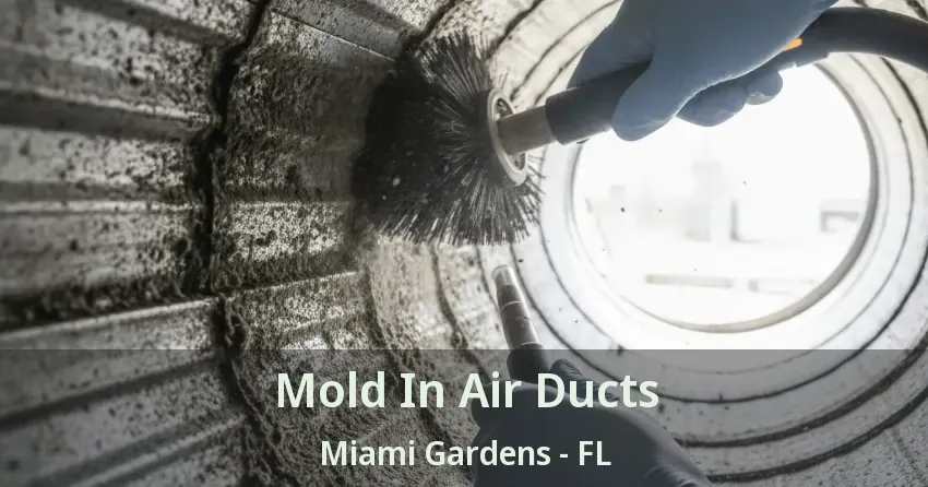 Mold In Air Ducts Miami Gardens - FL