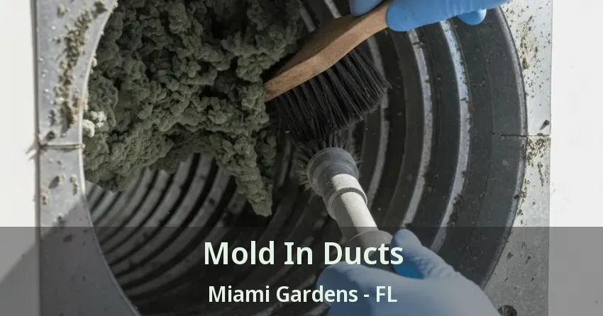 Mold In Ducts Miami Gardens - FL Mold In Ducts Miami Gardens - FL