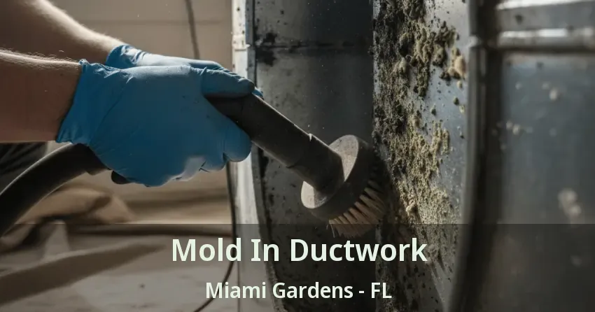 Mold In Ductwork Miami Gardens - FL