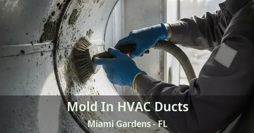 Mold In HVAC Ducts Miami Gardens - FL