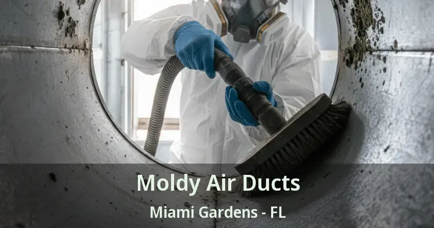 Moldy Air Ducts Miami Gardens - FL Moldy Air Ducts Miami Gardens - FL